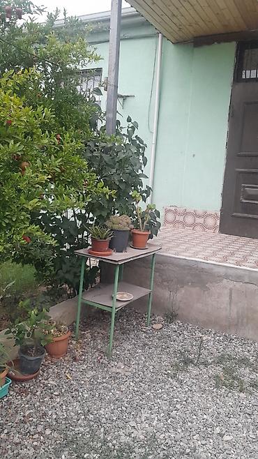 Həyət evləri və villaların satışı: 3 otaqlı, 100 kv. m, Yeni təmirli — 15