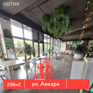 помещения для бизнеса: 📍ул. Анкара 🔘Этажи 1/7 🔘208м² Продается готовый арендный бизнес —