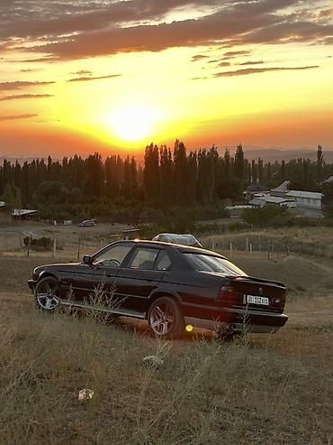 Продажа авто: BMW 5 series: 1995 г., 2.5 л, Седан — 2