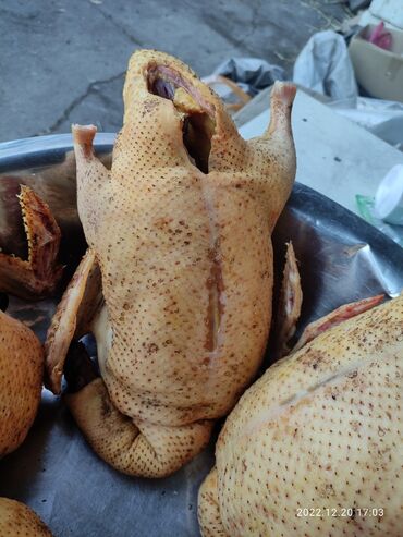 продажа рыбы: Вкуснейшее диетическое мясо индоуток#мясо мускусной утки# шипуны#Тушки