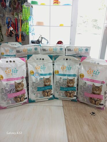 pişik sortu: Cat Cat markalı pişik gili, pişik sahibləri üçün təmizlik və qoxu