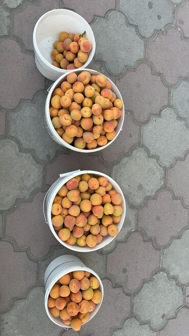 гусь купить мясо: Абрикосы Королевский, В розницу
