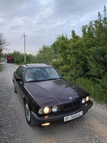 степ вагон 1: BMW 5 series: 1994 г., 2 л, Механика, Бензин
