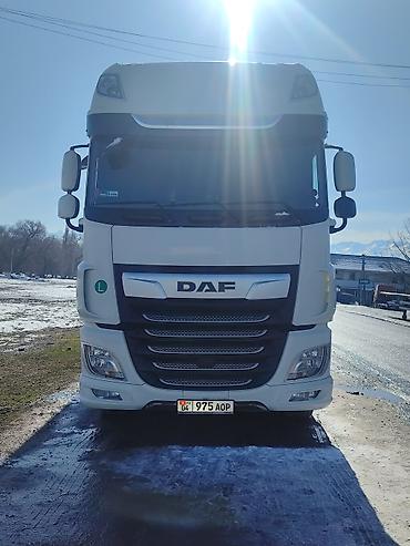 Тягачи: Тягач, DAF, 2019 г. — 1