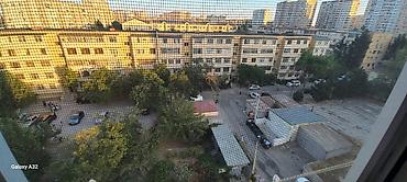 Квартиры: 1 otaqlı mənzil – rahat planlı və işıqlı - Daxili plan: giriş — 2