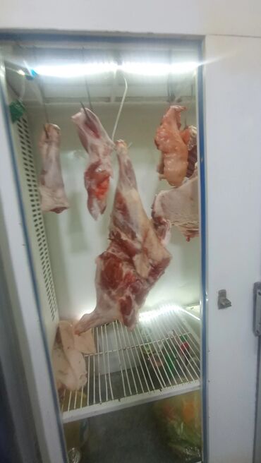 Ət: Məhsul: Qaban (donuz) əti – karkas və hissələr
və sala 7 manat — 17