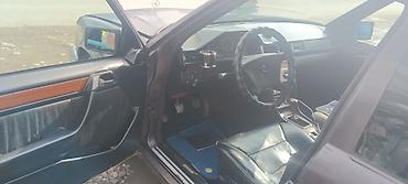 Mercedes-Benz: Mercedes-Benz W124: 1992 г., 2.9 л, Механика, Дизель, Универсал — 10
