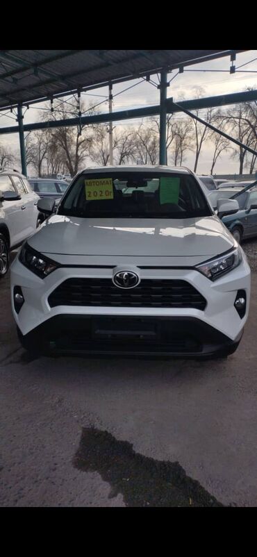 Toyota: Toyota RAV4: 2020 г., 2 л, Автомат, Бензин