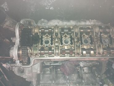 купить бультерьера: Mercedes-Benz 5 л lalafo.kg да купить бультерьера: Mercedes-Benz 5 л