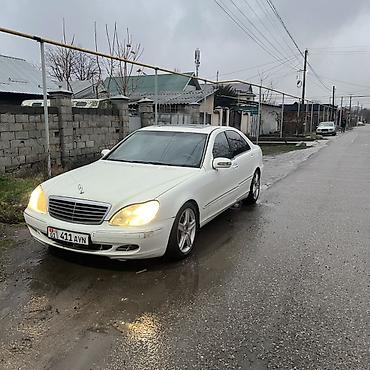 аполло: Mercedes-Benz S-Class: 1999 г., 5 л, Автомат, Бензин, Седан — 1