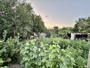 Продажа домов: Дом, 140 м², 5 комнат, Собственник, Косметический ремонт — 12