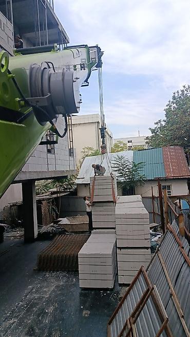 4 x: Стрела 22 м, 16 т, Борт 20 кг — 3