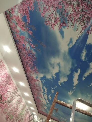 Натяжной потолок: Натяжной потолок 3D потолки, Глянцевое, Матовое Бесплатная консультация, Бесплатный замер, Гарантия — 27