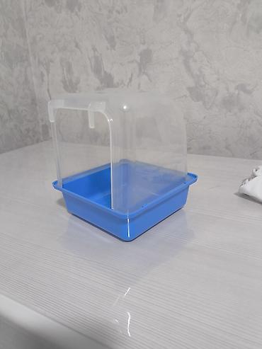 ucuz quşlar: Quşlar uçun cimmek ucun hamam — 3