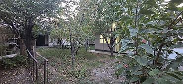 пл: Дом с двором и садом - Один этаж, светлый фасад, пластиковые окна. - — 3