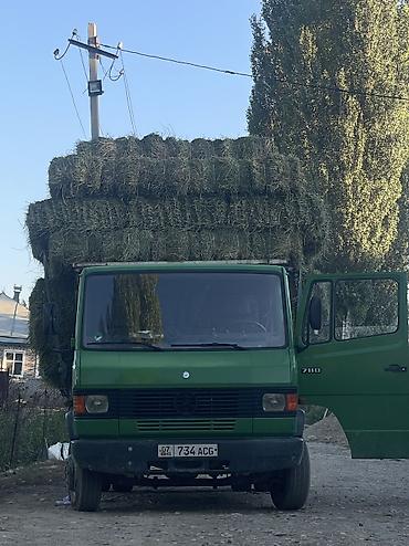 хова каракол: Грузовик, Mercedes-Benz, Дубль, 7 т, Б/у — 5