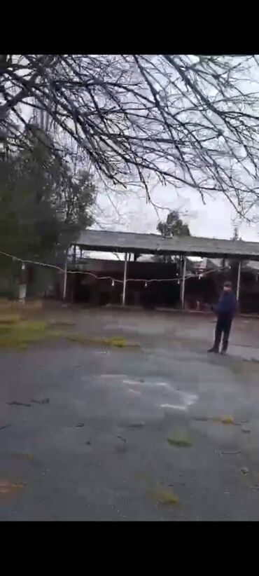 Kommersiya daşınmaz əmlakının satışı: Şəkidə fabrik satılır. Qiymətdə razılaşmaq. Yalnız real alıcılarla -da lalafo.az — 14 Kommersiya daşınmaz əmlakının satışı: Şəkidə fabrik satılır. Qiymətdə razılaşmaq. Yalnız real alıcılarla — 14