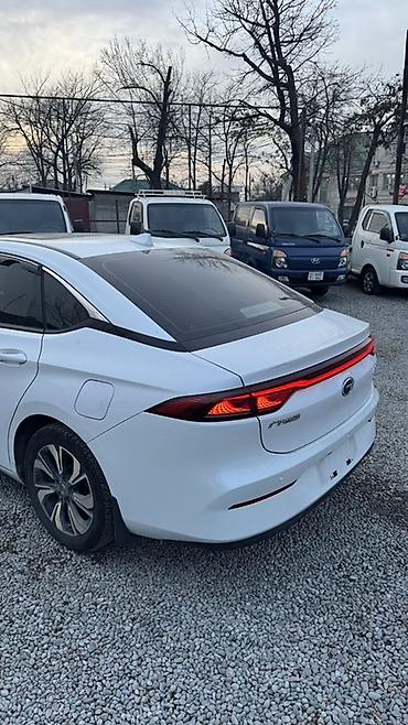 BYD: BYD : 2021 г., Электромобиль, Седан — 10