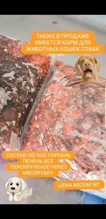 осеменение коров: Продается фарш для животных собак 🐶и кошек 😺 состав