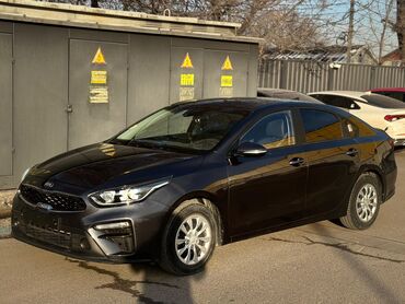 Kia: Kia K3: 2019 г., 1.6 л, Автомат, Бензин — 12