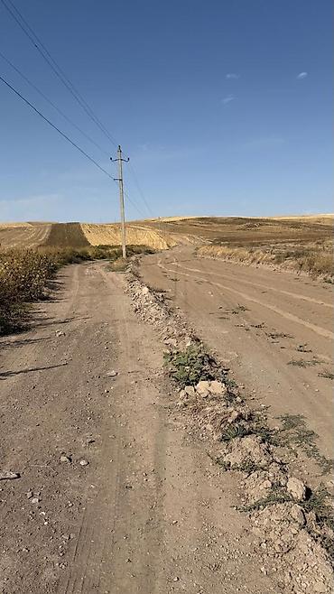 66 соток, Для бизнеса, Договор купли-продажи