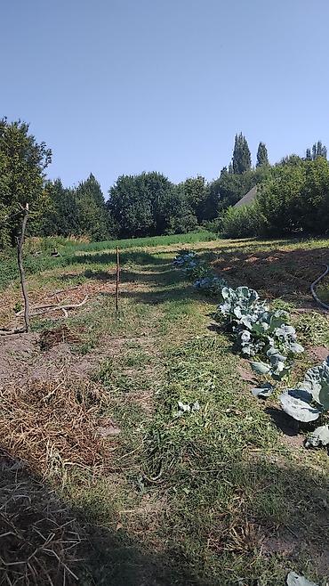 земелный участок: 18 соток, Для сельского хозяйства — 2