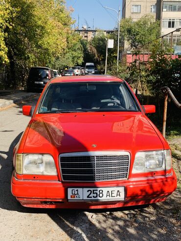 Mercedes-Benz: Mercedes-Benz W124: 1995 г., 3.2 л, Механика, Бензин, Седан