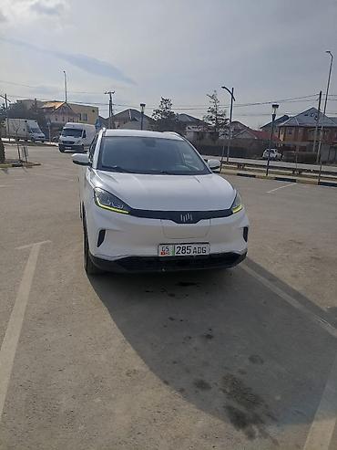 JMEV: JMEV : 2020 г., Электромобиль, Кроссовер — 1