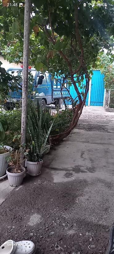 Продажа домов: Дом, 300 м², 5 комнат, Собственник, Косметический ремонт at lalafo.kg — 6 Продажа домов: Дом, 300 м², 5 комнат, Собственник, Косметический ремонт — 6