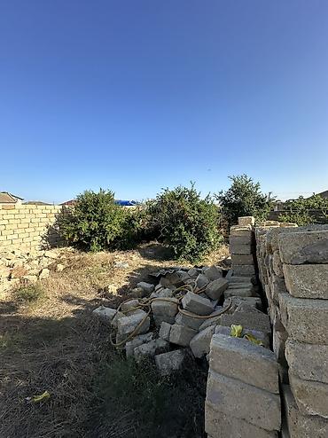 qəbələ torpaq: 4 sot, Tikinti, Maklerlər narahat etməsin, Kupça (Çıxarış) — 7