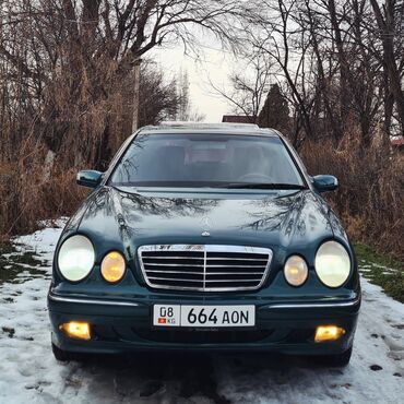 лягушка w210: Mercedes-Benz 320: 2000 г., 3.2 л, Автомат, Газ, Седан