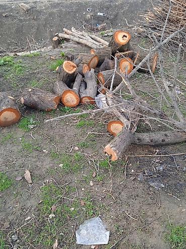 Дрова: Дрова — 6