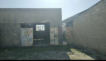 Sex, zavod və fabriklər: Bine gesebesimde. Sovxoxzda. Gurcustallilarin mehlesinde (deyilen — 25