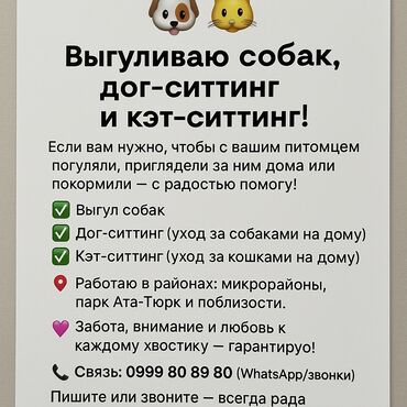 Другие услуги: Выгул собак, кэт и дог ситтинг - если вам нужно уехать, буду заходить