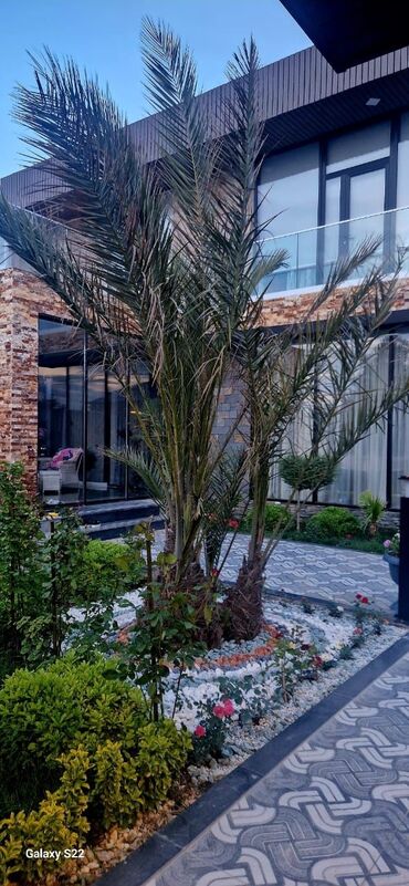 Dekorativ daşlar: Ağ daşlar.Dekorativ Ağ daşlar Təbii daşlardır.kiçik orta və böyük — 18