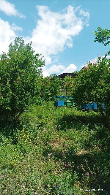 imislidə ev satilir: Şamaxı rayonu Mədrəsə qəsəbəsində gözəl sakit qarşısı dağlara açılan — 7