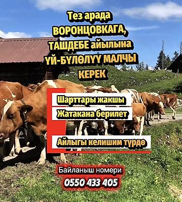 Вакансии: Требуется Скотник, Оплата: Сдельная — 1