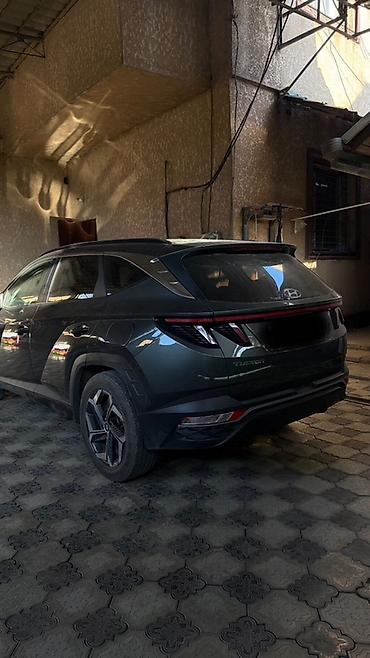 2023: Hyundai Tucson: 2023 г., 1.6 л, Автомат, Бензин, Кроссовер — 6