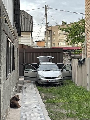 daf 480: Ford Focus: 2003 г., 1.6 л, Автомат, Бензин, Хэтчбэк — 3