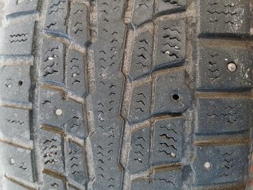 зимние шины на камри: Шины 185 / 65 / R 14, Зимняя шипованная, 1 шт, Легковые