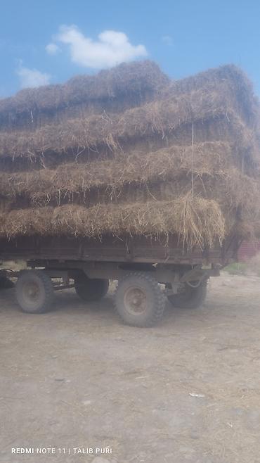 gəncə traktor: 200 pres yığılıbdı lapetin duruşun görürsünüz yükdə çəkdim risor görə — 1