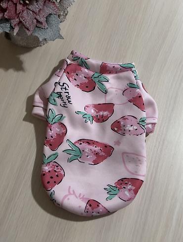 Зоотовары: Одежда для кошек и собак. Все НОВОЕ РАЗМЕР И ЦЕНА УКАЗАНЫ НА ФОТО — 23