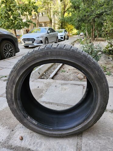 сколько стоит шипованная резина: Шиналар 225 / 45 / R 18, Кыш, Жуп, Жеңил унаалар, Жапония, Dunlop