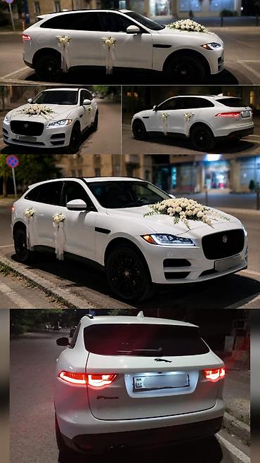 pol yonan usta: #Jaguar#Fpace#Toy #Nişan və digər #tədbirlər üçün #sifariş edə — 5