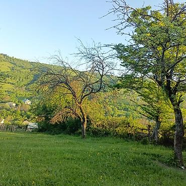 Torpaq sahələrinin satışı: Tikinti — 5