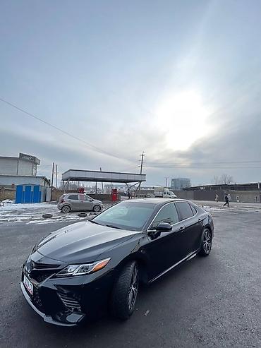 Toyota: Toyota Camry: 2019 г., 2.5 л, Автомат, Бензин, Седан — 2