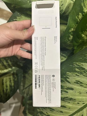 apple pencil 2: Apple Pencil Pro - Model: Apple Pencil Pro (qutunun üzərində qeyd — 3