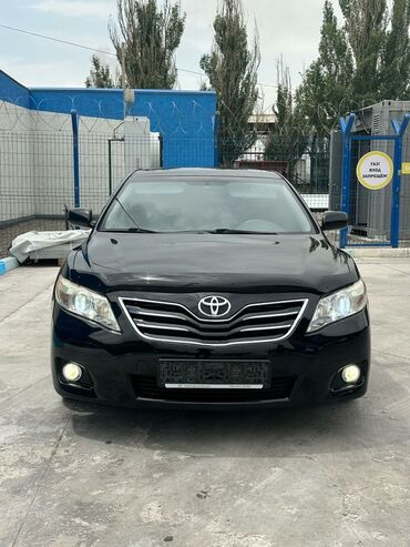 экономичные машины: Toyota Camry: 2009 г., 2.5 л, Автомат, Бензин, Седан