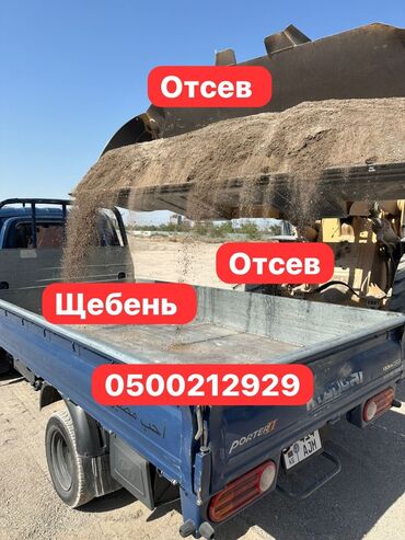 ушастый нянь бишкек: Эленген шагыл, Керүү үчүн, Чекене, Портер