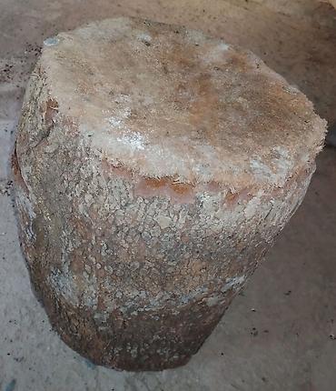 Biznes üçün avadanlıq: Böyük kəsim ət kötüyü - Material: təbii ağac gövdəsi, qabıqlı səth - — 3